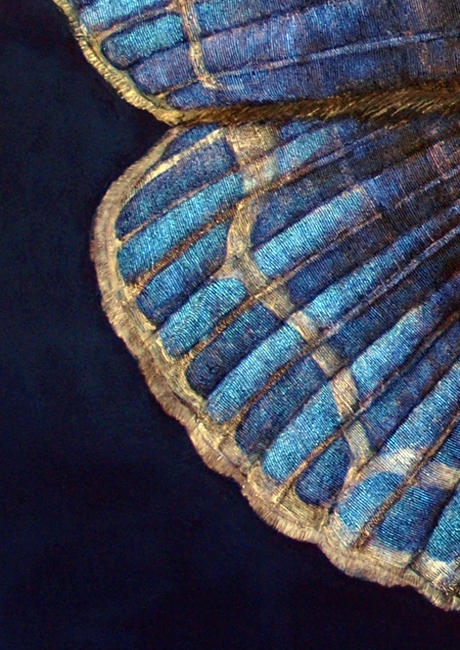 4. Erebus detail