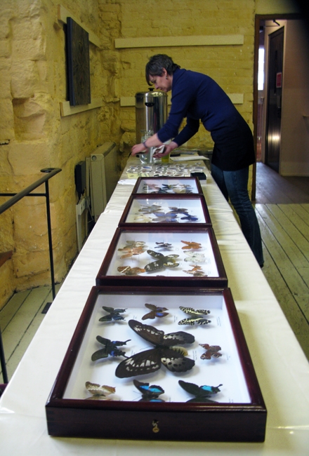 3. Specimens