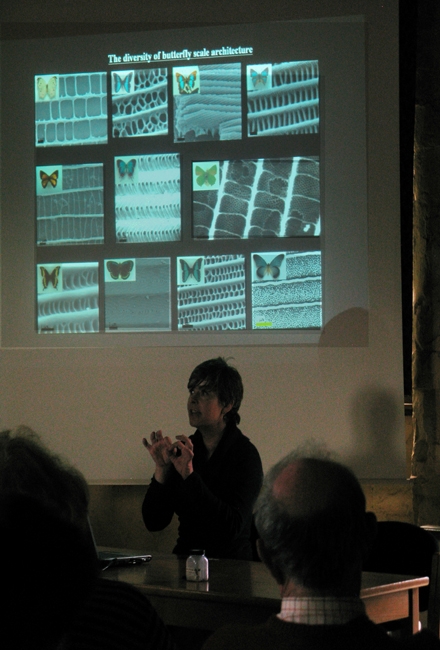 4. Presentation