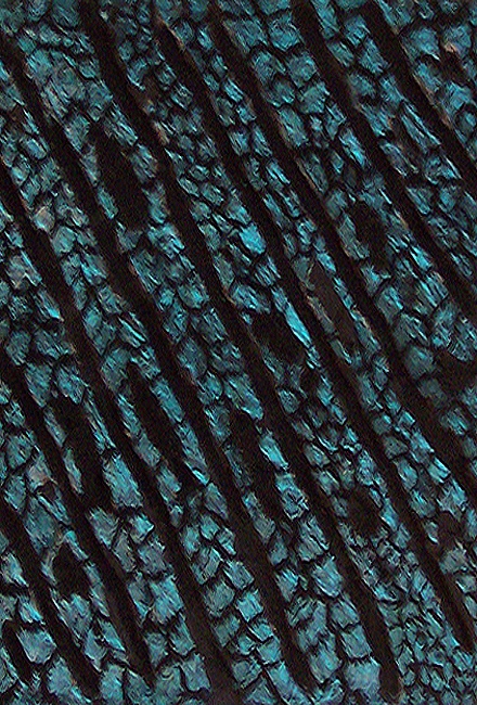 I0. Student work