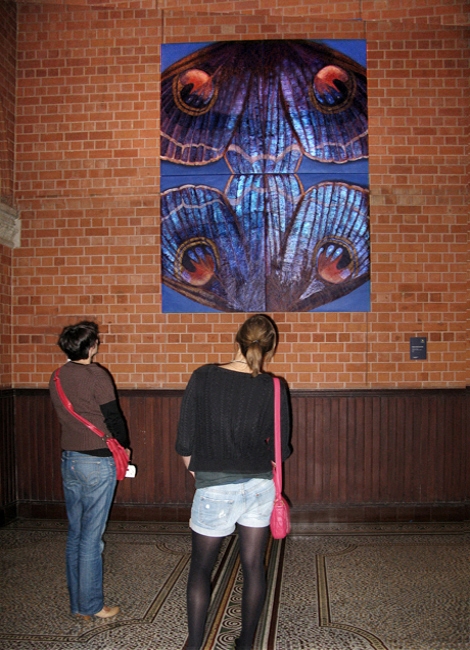 I2. Diptych V - close up