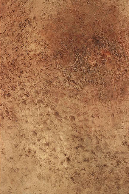 2. Diptych I right panel, detail